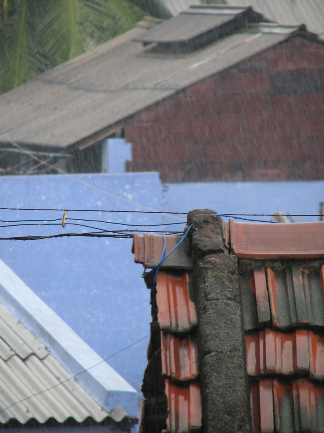 November rain, Salem, India